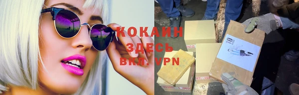 сатива Вязьма