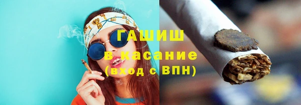 сатива Вязьма