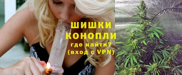 сатива Вязьма